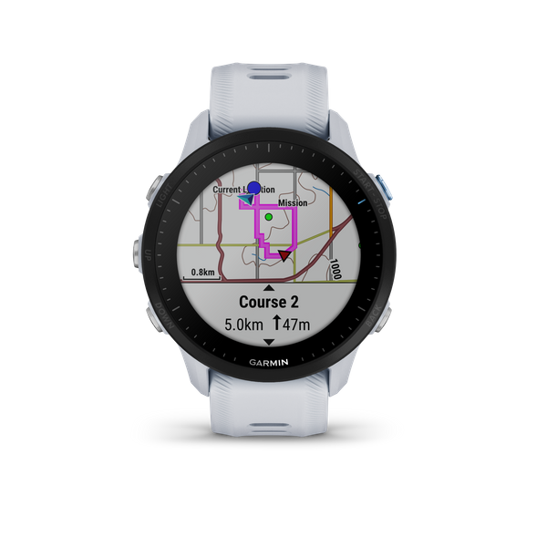 Garmin FORERUNNER 955 WHITESTONE