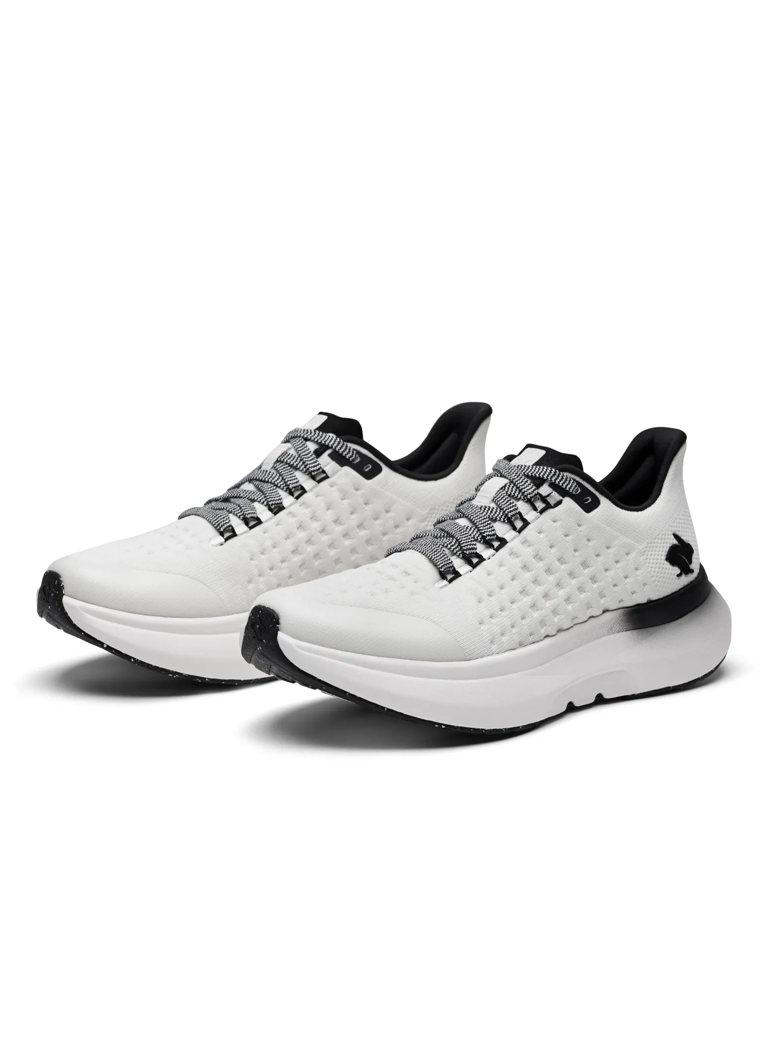 Chaser Dream Rabbit MEN'S DREAM CHASER 100