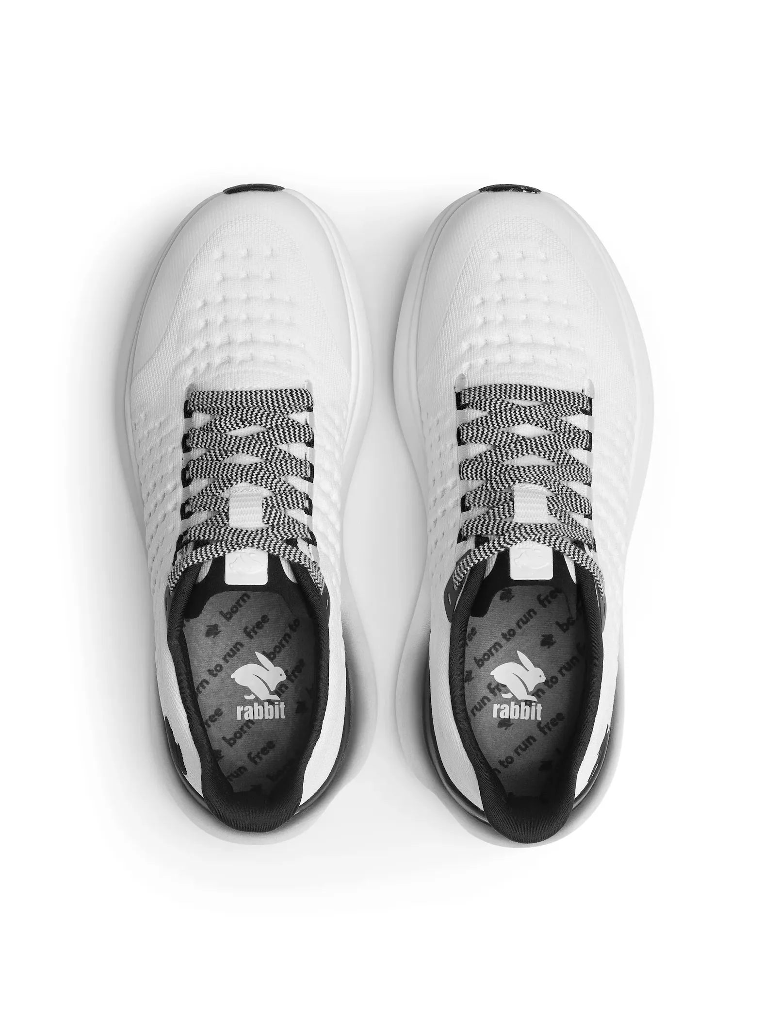 Rabbit MEN'S DREAM CHASER 100