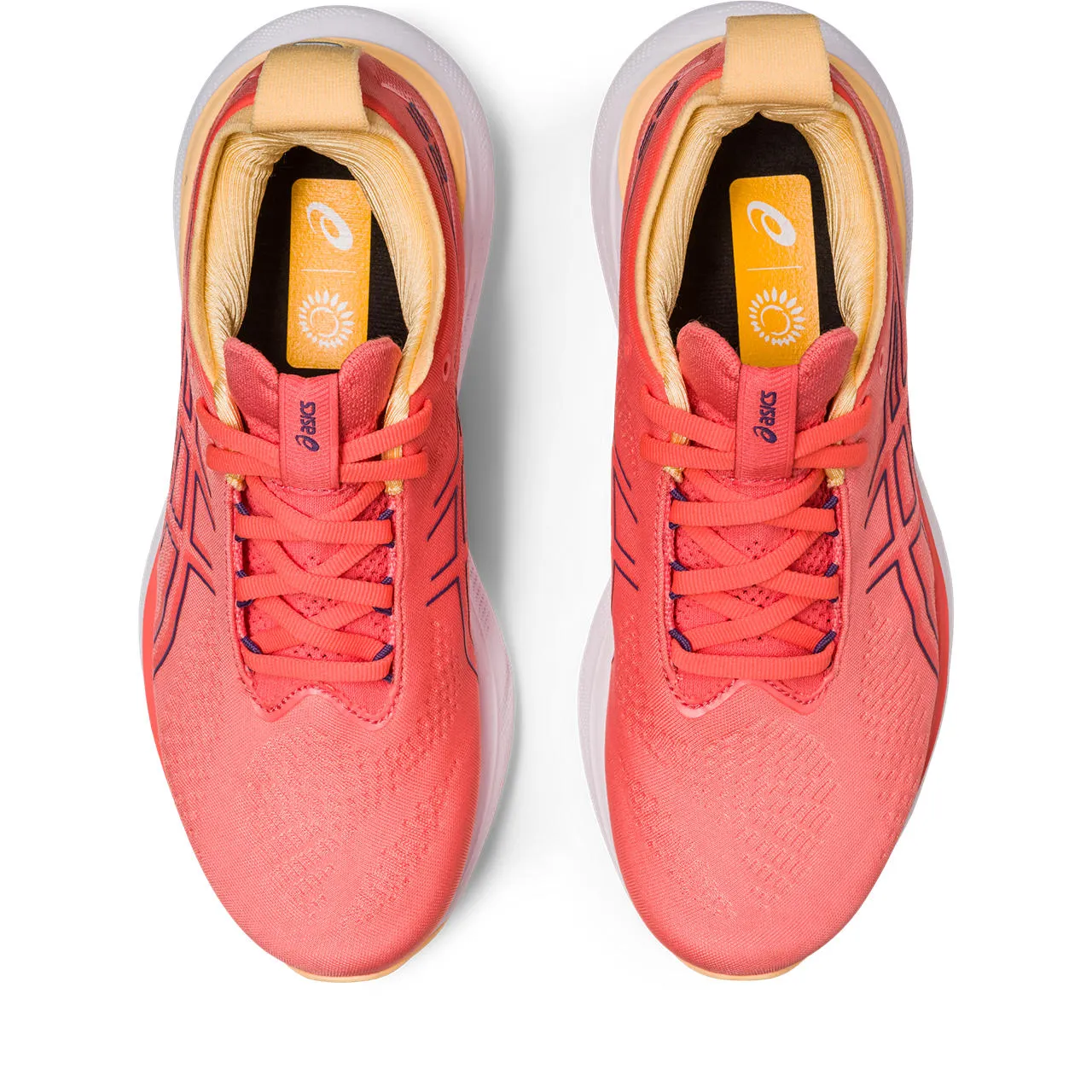 Asics WOMEN'S NIMBUS 25 700